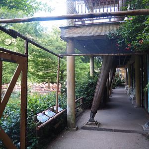 Cuban aviary visitor area, 2022-08-28