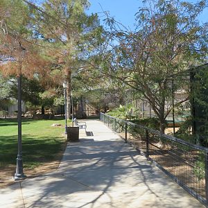 View of Pathway (2022)