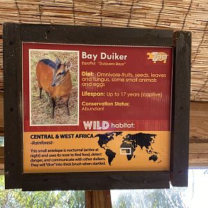 Bay Duiker Signage