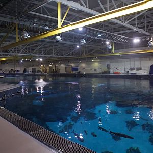 Ocean Voyager Behind Sea Tour View