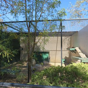 Bobcat Enclosure (2022)