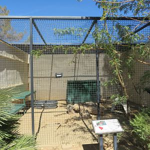 Ocelot Enclosure (2022)