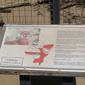 Example Signage (Caracal)