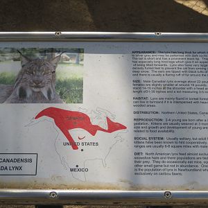 Example Signage (Canada Lynx)