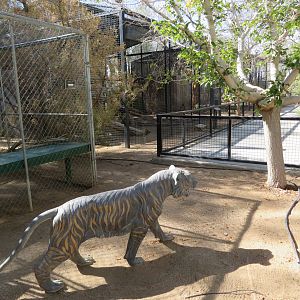 Tiger Statue & Pathway (2022)
