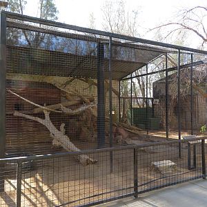 Clouded Leopard Enclosure (2022)