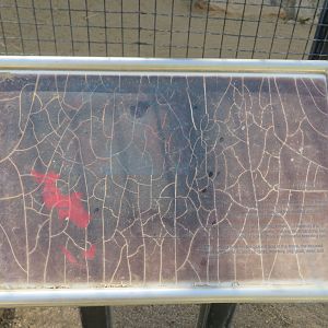 Decayed Signage (2022)