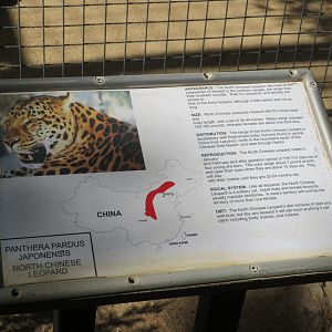 Example Signage (North Chinese Leopard)