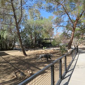 View of Facility (2022)