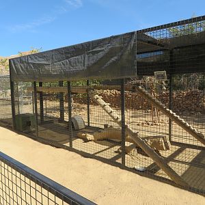 Sand Cat Enclosure (2022)