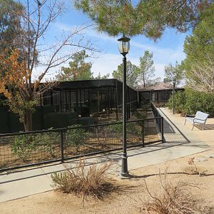 Row of Enclosures (2022)