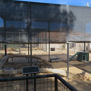 Sand Cat Enclosure (2022)