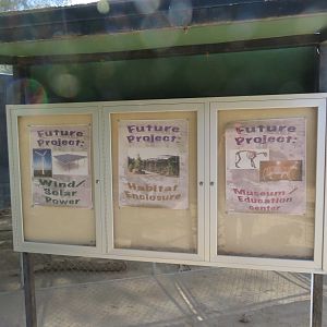 Future Projects (2022)