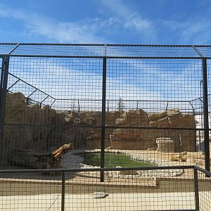 Malayan Tiger Enclosure (2022)