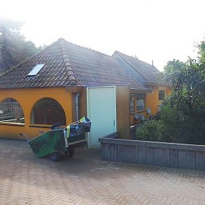 Nuboso monkeys, Elegant-crested tinamou and Patagonian mara house, 2022-08-28