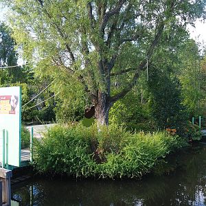 Nuboso monkey exhibit, 2022-08-28