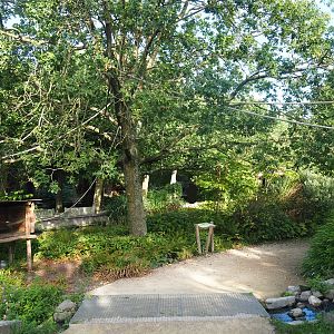 Nuboso monkey exhibit, 2022-08-28