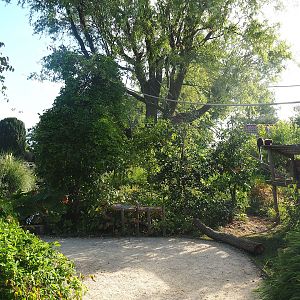 Nuboso monkey exhibit, 2022-08-28