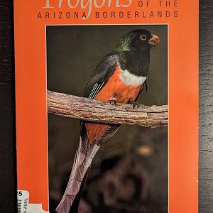 Trogons of the Arizona Borderlands