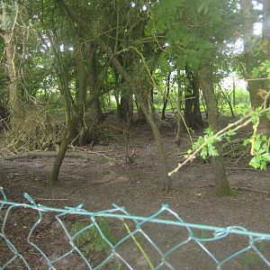Westküstenpark - Deer exhibit