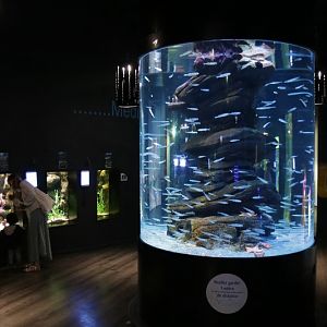 Groundfloor with a cylinder tank