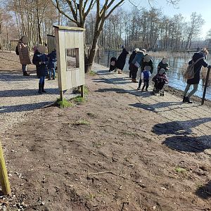 New path along the seal pond