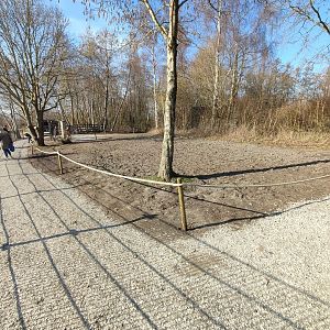 New path along the seal pond, maybe room for something new?
