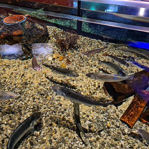 Harbour tank - Top view