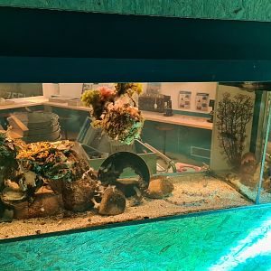 Ocean laboratory tank