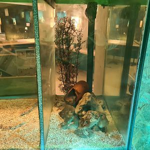 Ocean laboratory tank - Separation enclosure