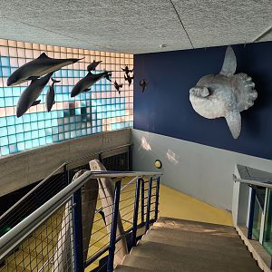 Entrance to aquarium
