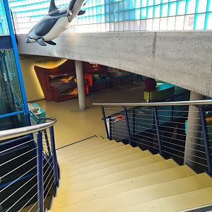 Entrance to aquarium