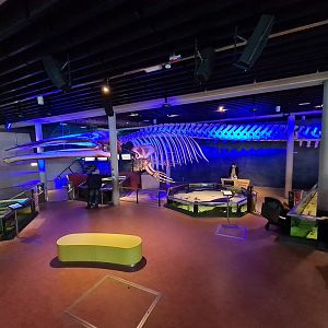 Overview of aquarium