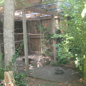 Westküstenpark - European forest aviary