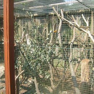 Westküstenpark - Squirrel exhibit