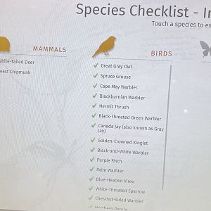 Species checklists for the Diorama