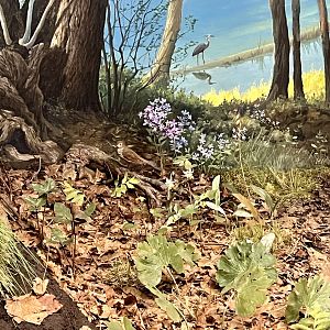 Forest Birds Diorama