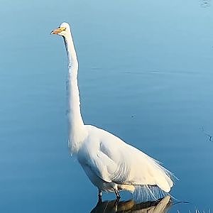 Fishing & Resting - YouTube