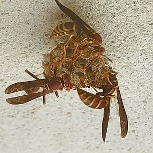 Demonic Architects - YouTube