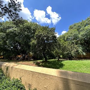 Spectacled Bear Enclosure (Tremarctos ornatus)
