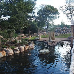 Argentine Cerrado exhibit, 2022-08-28