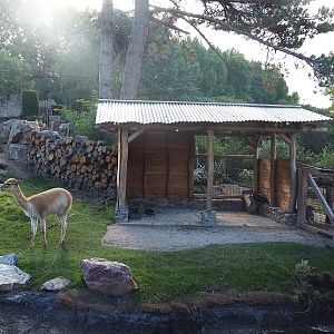 Argentine Cerrado exhibit shelter, 2022-08-28