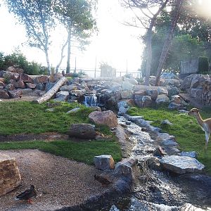 Argentine Cerrado exhibit, 2022-08-28