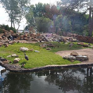 Argentine Cerrado exhibit, 2022-08-28