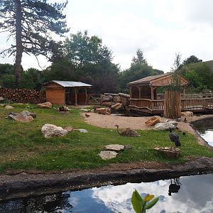 Argentine Cerrado exhibit, 2022-08-28