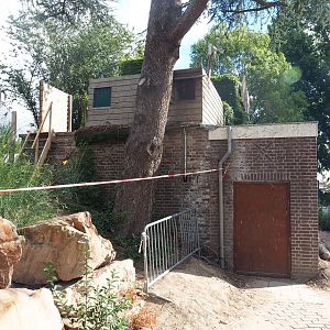 Technical building and falconry platform, 2022-08-28