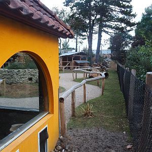 Patagonian mara walk-through exhibit and house, 2022-08-28