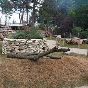 Patagonian mara walk-through exhibit, 2022-08-28