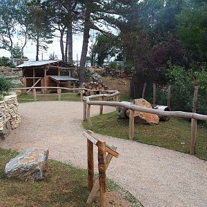 Patagonian mara walk-through exhibit, 2022-08-28