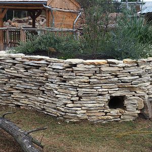 Patagonian mara shelter underneath planter, 2022-08-28